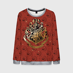 Свитшот мужской Hogwarts, цвет: 3D-меланж