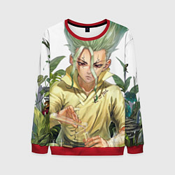 Мужской свитшот Доктор Стоун