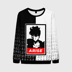 Свитшот мужской СОН ДЖИН ВУ SOLO LEVELING, цвет: 3D-черный