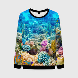 Свитшот мужской Риф, цвет: 3D-черный