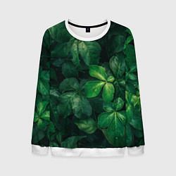 Свитшот мужской Тропическая листва Тропики Z, цвет: 3D-белый