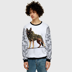 Свитшот мужской Служебная собака К9 K9, цвет: 3D-черный — фото 2