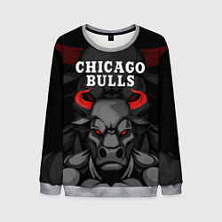 Мужской свитшот CHICAGO BULLS ЯРОСТНЫЙ БЫК