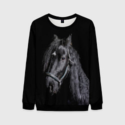 Свитшот мужской Лошадь на черном фоне, цвет: 3D-черный