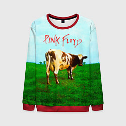 Свитшот мужской Atom Heart Mother - Pink Floyd, цвет: 3D-красный