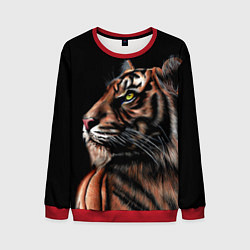 Свитшот мужской Тигр в Темноте Взгляд Вверх, цвет: 3D-красный