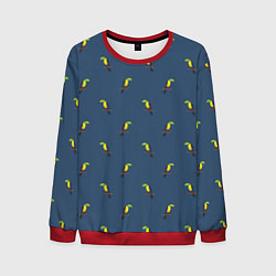 Свитшот мужской Тукан паттерн, цвет: 3D-красный
