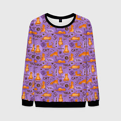 Мужской свитшот Кошачья Йога