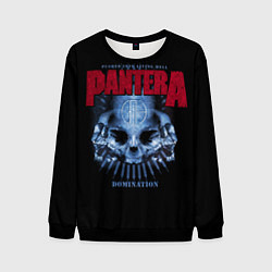 Свитшот мужской Pantera Domination, цвет: 3D-черный