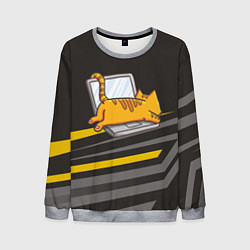 Свитшот мужской Котик лежит на ноутбуке, цвет: 3D-меланж