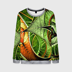 Свитшот мужской Растительный абстрактный фрактальный паттерн Veget, цвет: 3D-меланж