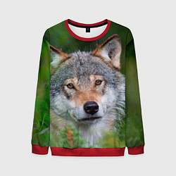 Мужской свитшот Волк на фоне зелени