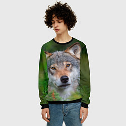 Свитшот мужской Волк на фоне зелени, цвет: 3D-черный — фото 2
