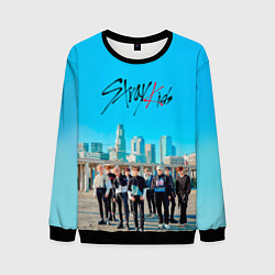 Свитшот мужской Stray Kids Double Knot, цвет: 3D-черный