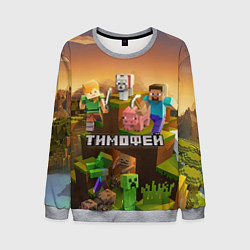 Свитшот мужской Тимофей Minecraft, цвет: 3D-меланж