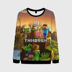 Свитшот мужской Тимофей Minecraft, цвет: 3D-черный