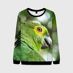 Свитшот мужской Попугaй, цвет: 3D-черный