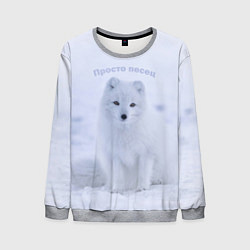 Свитшот мужской Просто песец на снегу, цвет: 3D-меланж