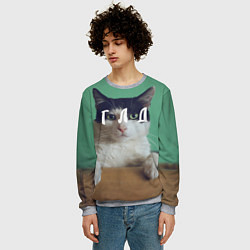 Свитшот мужской Мем с котом - голод, цвет: 3D-меланж — фото 2
