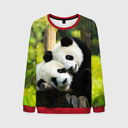 Свитшот мужской Влюблённые панды, цвет: 3D-красный