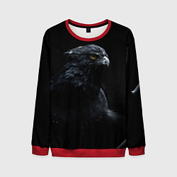 Свитшот мужской Тёмный орёл, цвет: 3D-красный