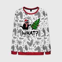 Мужской свитшот What-котик: новогодний