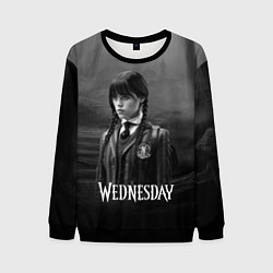 Свитшот мужской Wednesday черно-белый стиль, цвет: 3D-черный