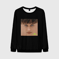 Свитшот мужской Boulevard Depo - сертоловский токсик, цвет: 3D-черный