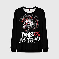 Свитшот мужской Punks not dead - анархия, цвет: 3D-черный