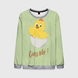 Свитшот мужской Угадай кто, цвет: 3D-меланж