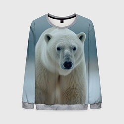 Свитшот мужской Белый медведь полярный, цвет: 3D-меланж