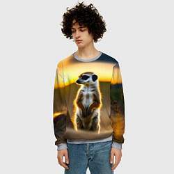 Свитшот мужской Сурикат на фоне рассвета, цвет: 3D-меланж — фото 2