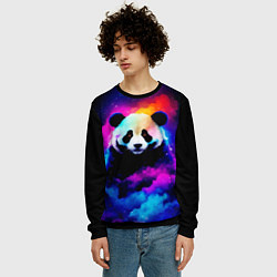Свитшот мужской Панда и краски, цвет: 3D-черный — фото 2
