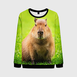 Свитшот мужской Capybara on green grass, цвет: 3D-черный