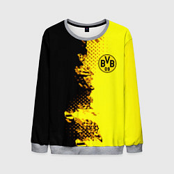 Мужской свитшот Borussia fc sport краски