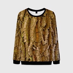Мужской свитшот Кора дерева текстура