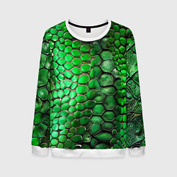 Свитшот мужской Зеленая змеиная кожа, цвет: 3D-белый