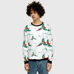 Свитшот мужской Пара летящих попугаев ара, цвет: 3D-черный — фото 2