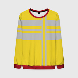 Мужской свитшот Полосы цвета