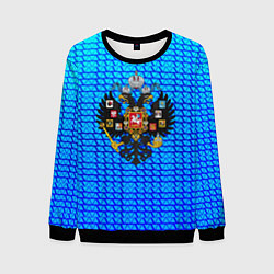 Свитшот мужской Имперская Россия текстура полосы, цвет: 3D-черный