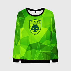 Свитшот мужской AEK Athens green poly, цвет: 3D-черный