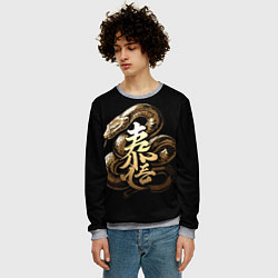 Свитшот мужской Золотая змея вместе с иероглифом, цвет: 3D-меланж — фото 2