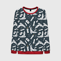 Свитшот мужской Гарри Поттер - паттерн c Буклей и письмом, цвет: 3D-красный