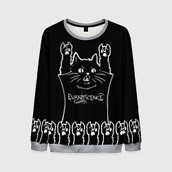 Свитшот мужской Evanescence: cat rock, цвет: 3D-меланж