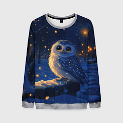 Свитшот мужской Новогодняя сова под снегопадом, цвет: 3D-меланж