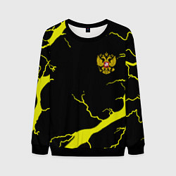 Мужской свитшот Россия шторм герб