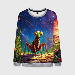 Свитшот мужской Богомол и звездное небо, цвет: 3D-меланж