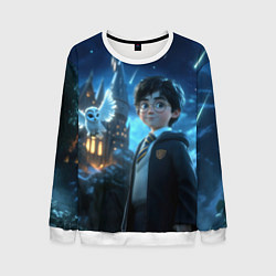 Свитшот мужской Гарри Поттер и сова, цвет: 3D-белый