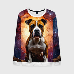 Свитшот мужской Американский стаффордширский терьер в космосе, цвет: 3D-белый