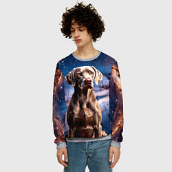 Свитшот мужской Веймаранер в космосе, цвет: 3D-меланж — фото 2
